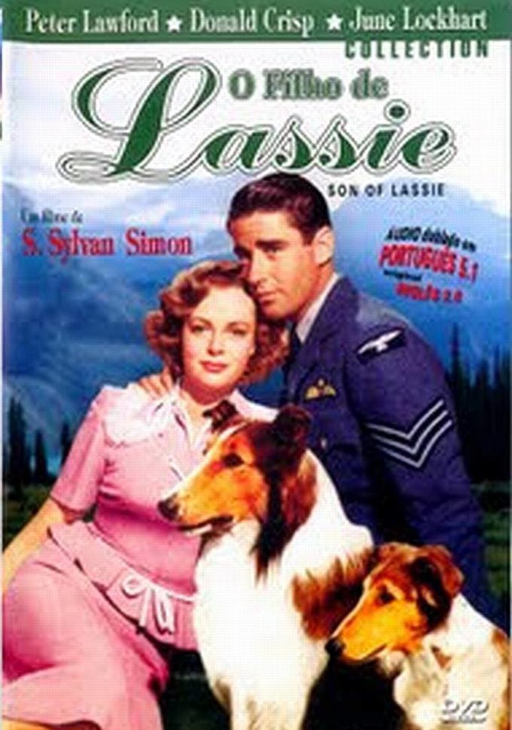 O Filho Da Lassie Filme Veja Onde Assistir
